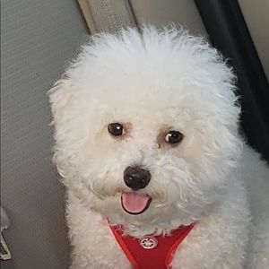 Meet your Posher, Lucas